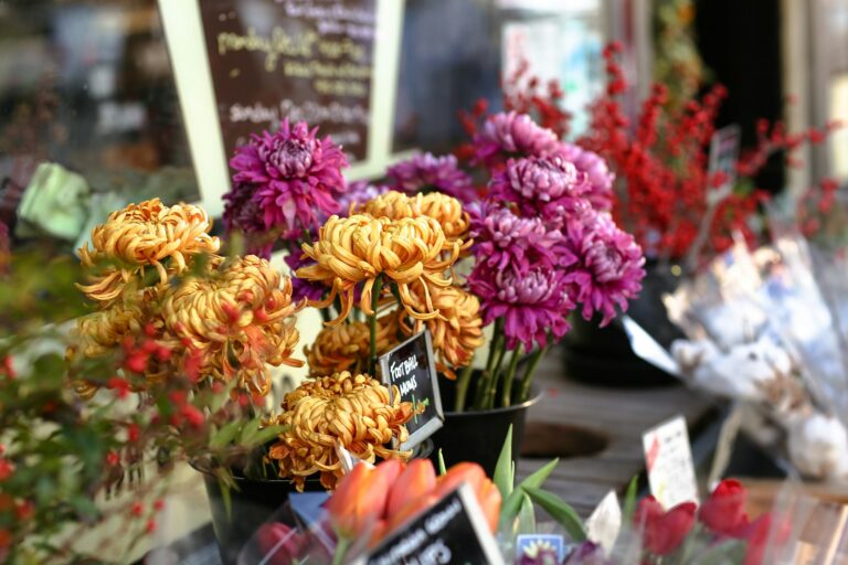 selective focus photography of yellow and purple petaled flowers on shelf
